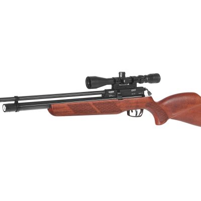 Gamo Coyote Beech